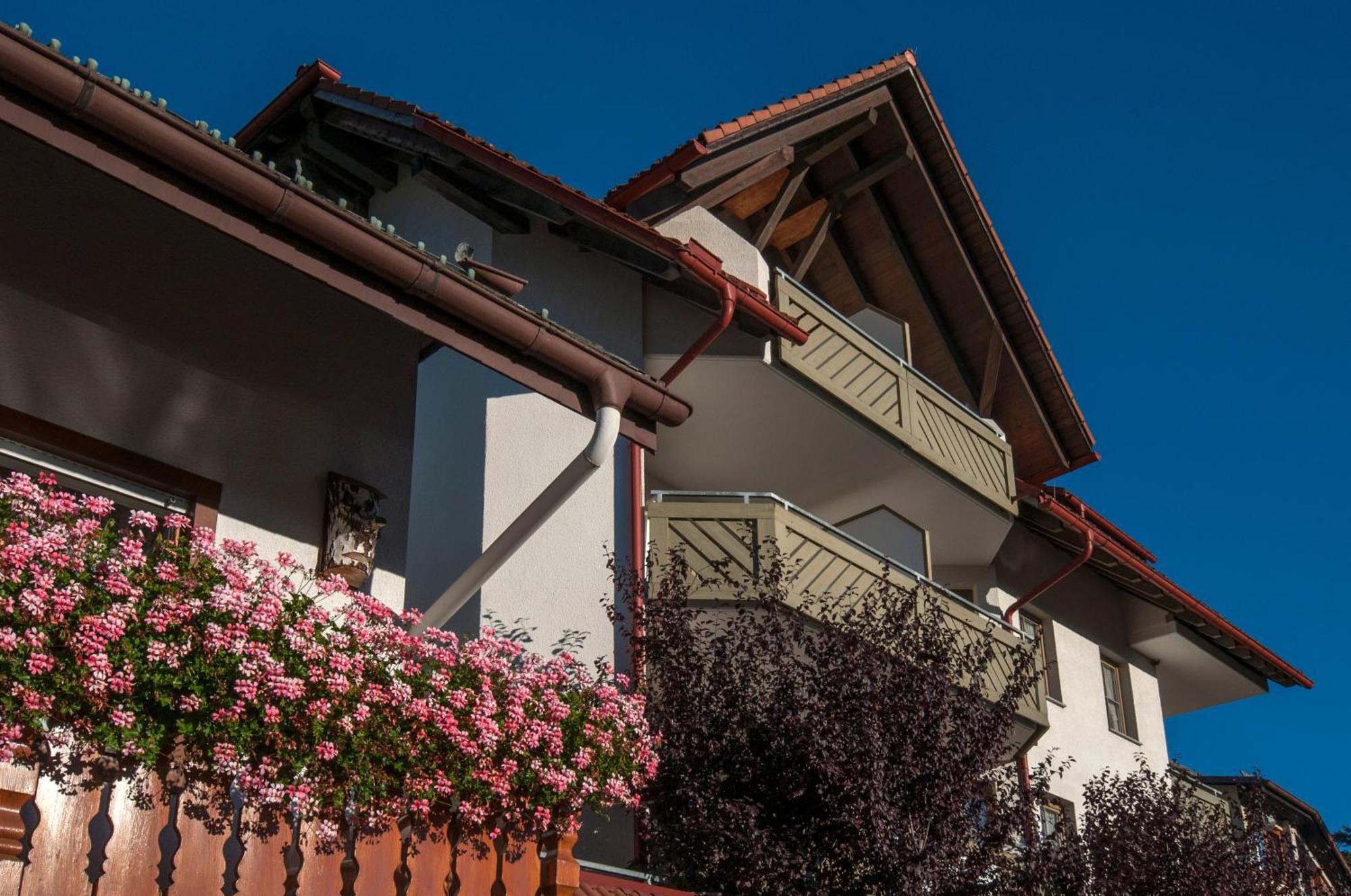 Apartment 03 - Ferienresidenz Roseneck, Mit Schwimmbad In Todtnauberg Bei Feldberg المظهر الخارجي الصورة