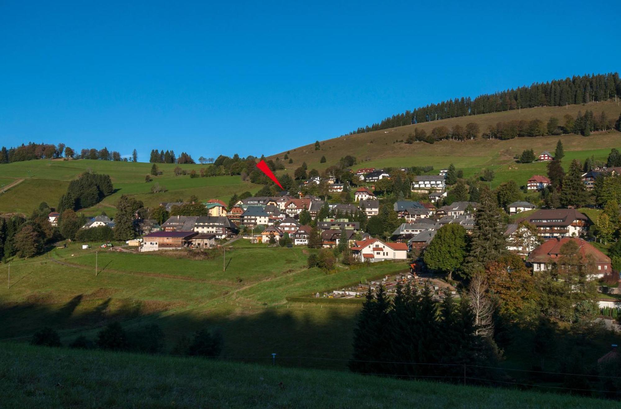 Apartment 03 - Ferienresidenz Roseneck, Mit Schwimmbad In Todtnauberg Bei Feldberg المظهر الخارجي الصورة