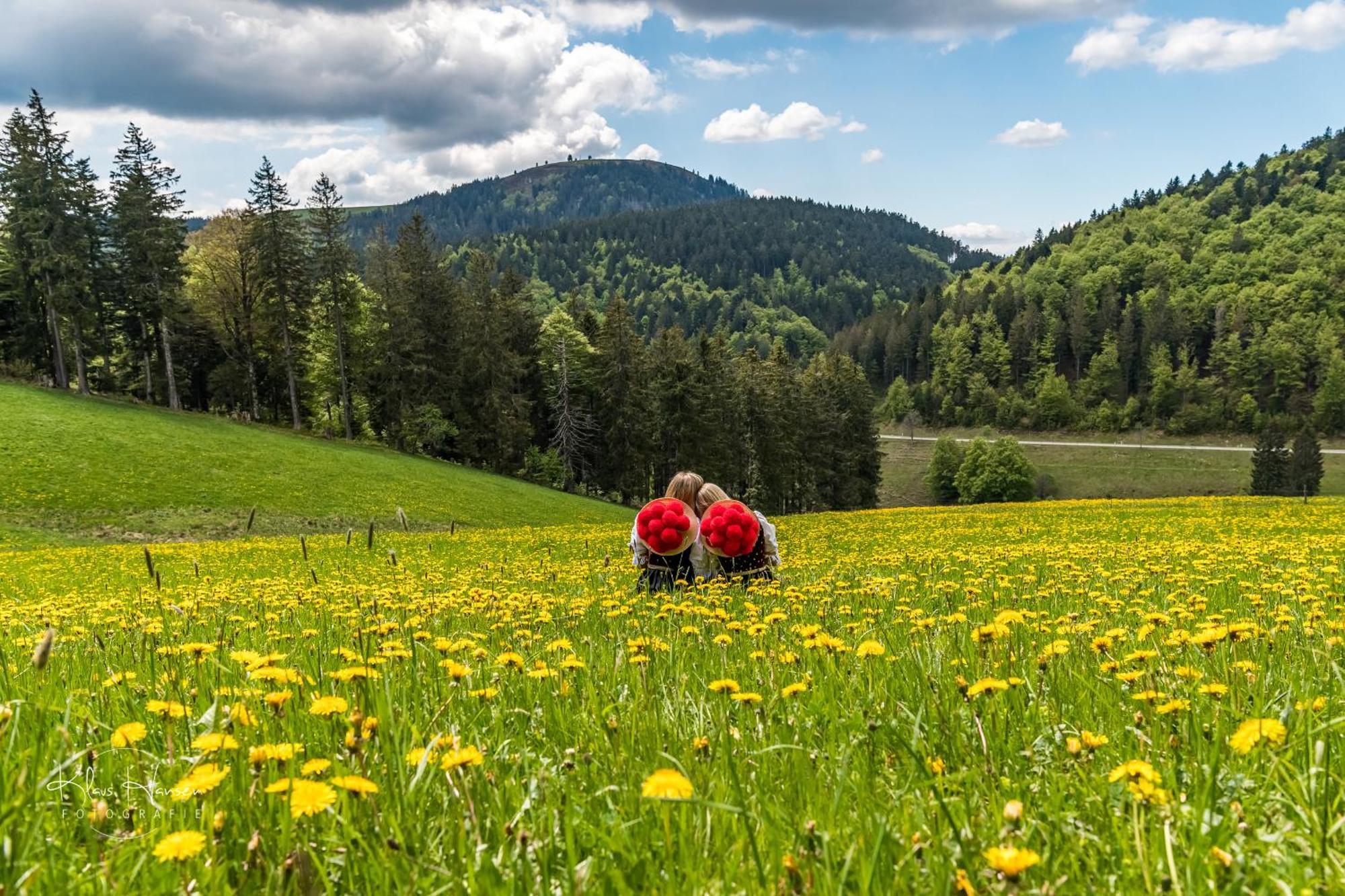 Apartment 03 - Ferienresidenz Roseneck, Mit Schwimmbad In Todtnauberg Bei Feldberg المظهر الخارجي الصورة
