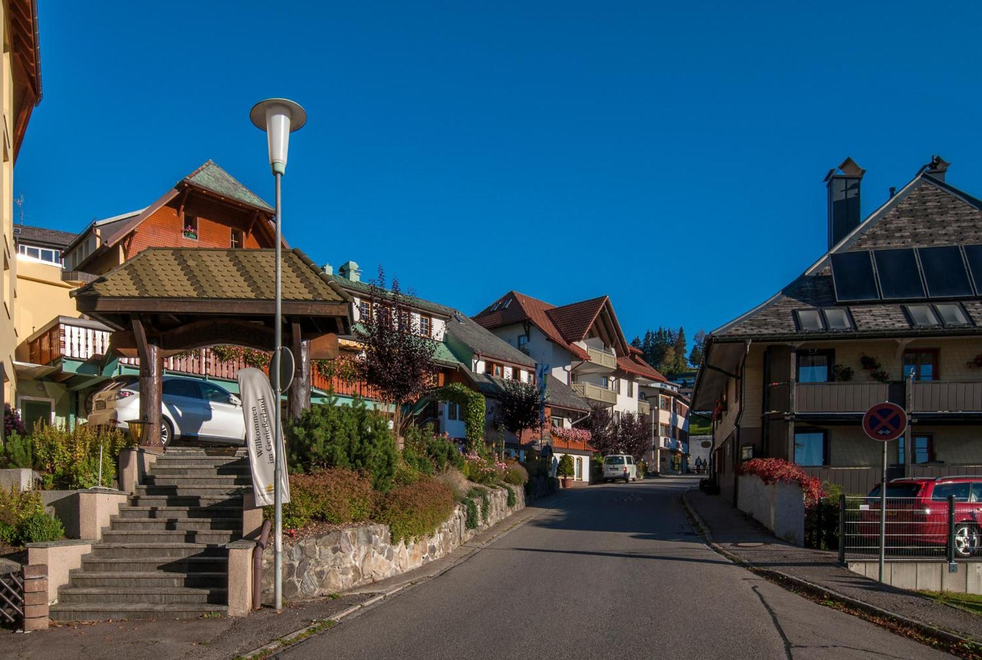 Apartment 03 - Ferienresidenz Roseneck, Mit Schwimmbad In Todtnauberg Bei Feldberg المظهر الخارجي الصورة