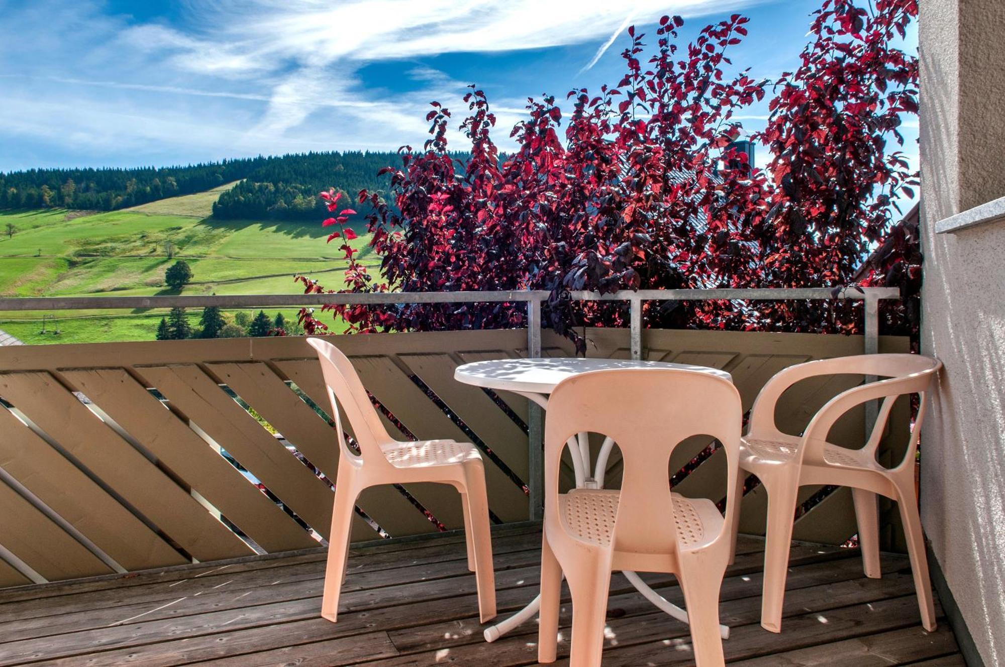 Apartment 03 - Ferienresidenz Roseneck, Mit Schwimmbad In Todtnauberg Bei Feldberg المظهر الخارجي الصورة