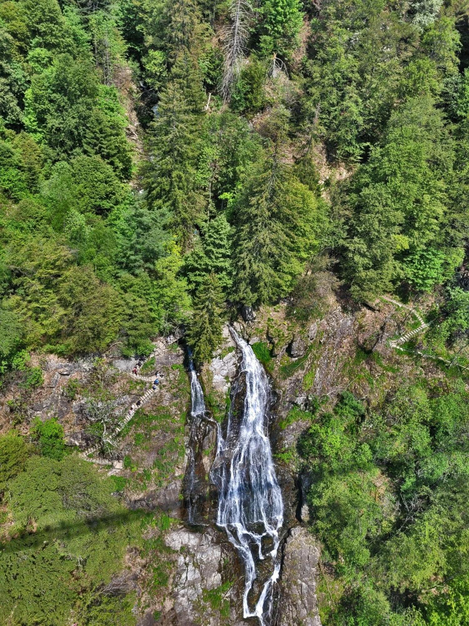 Apartment 03 - Ferienresidenz Roseneck, Mit Schwimmbad In Todtnauberg Bei Feldberg المظهر الخارجي الصورة